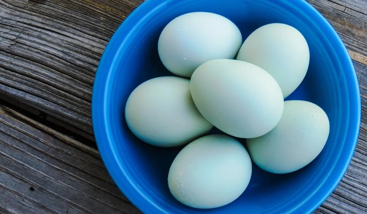 Huevo Azul