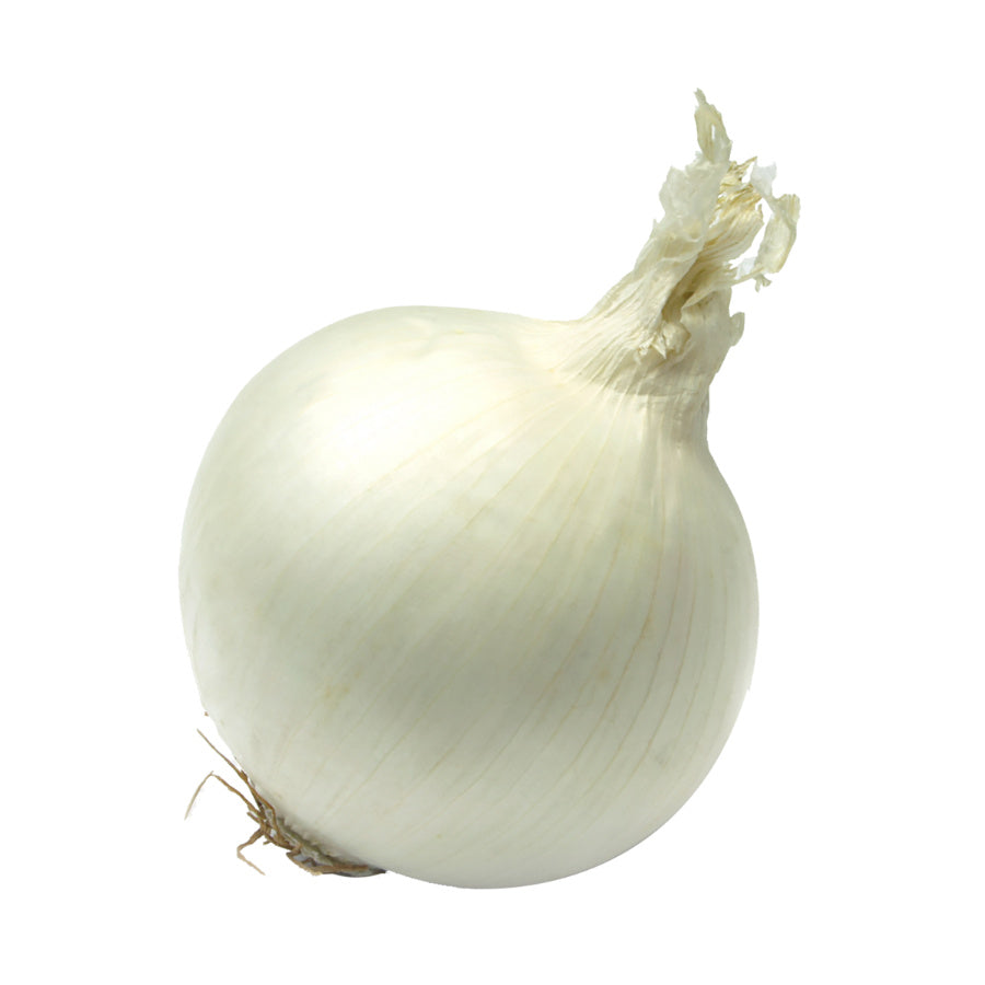 Cebolla