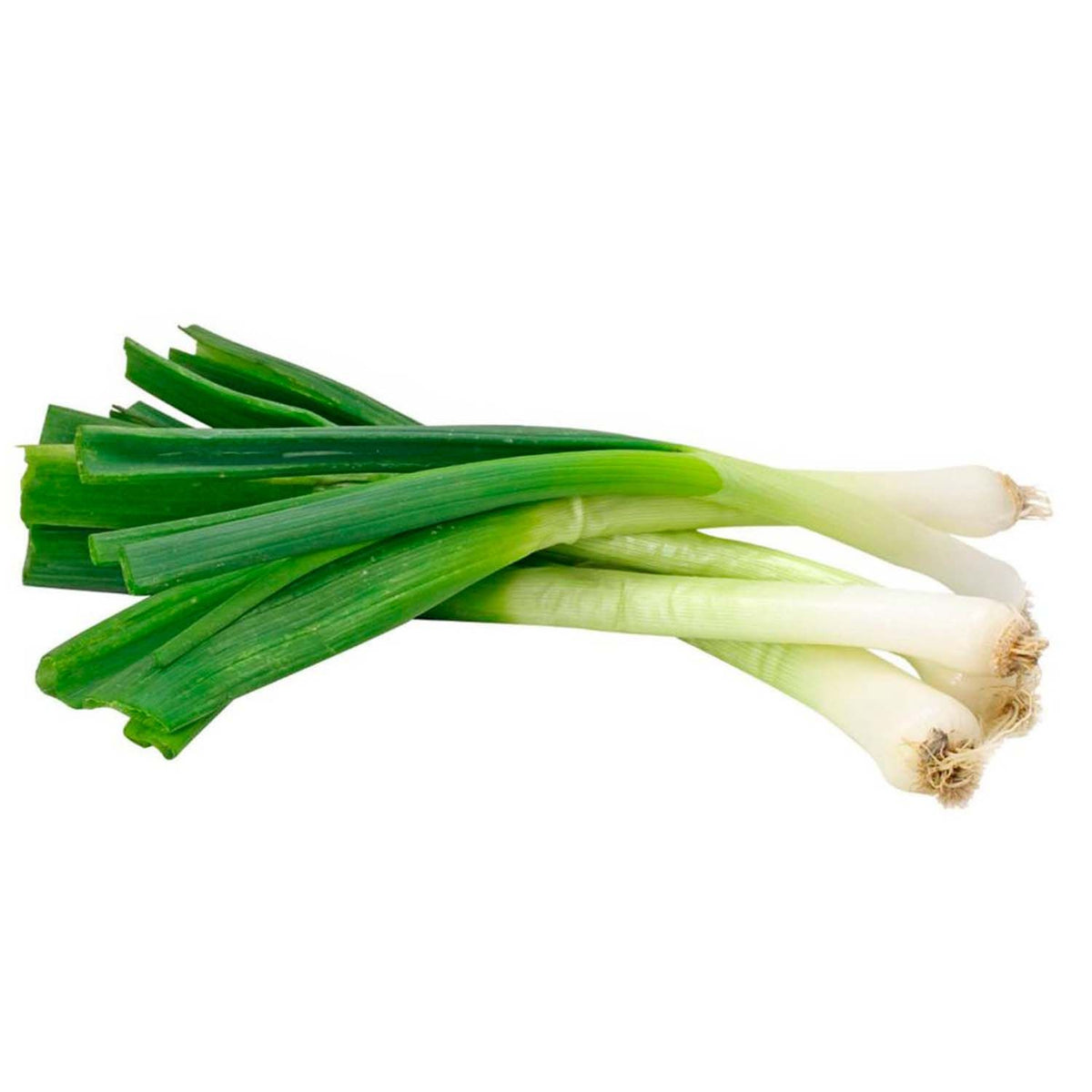 Cebollin