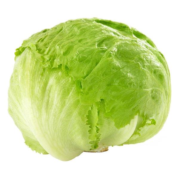 Lechuga escarola