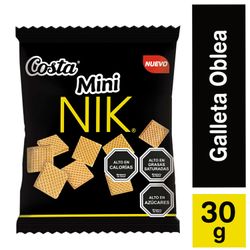 Mini nik