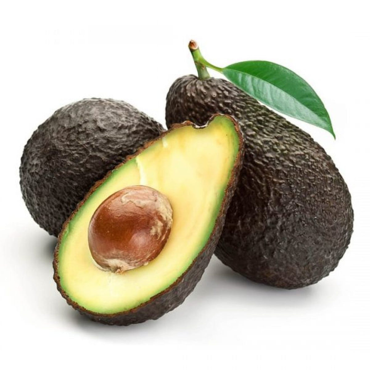 Palta hass calibre 14